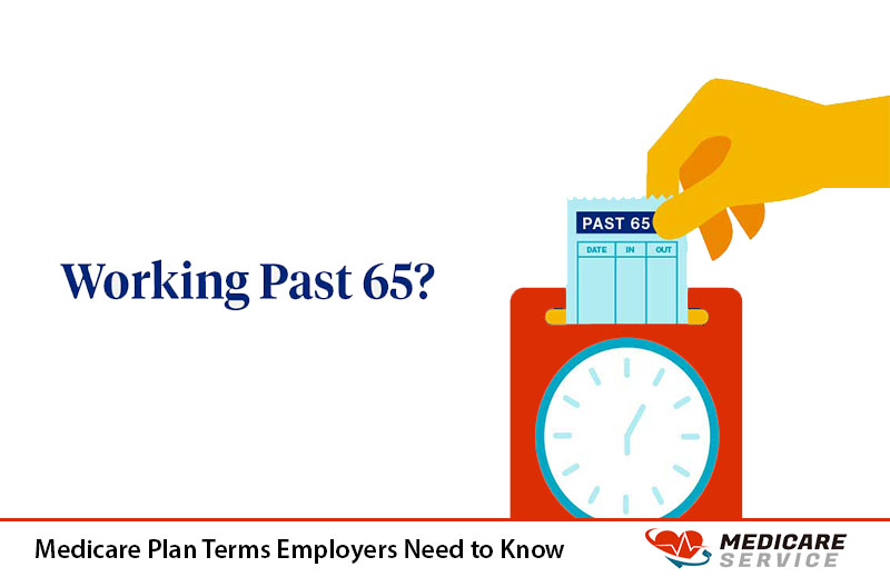 Medicare Plan Terms Employers Need to Know