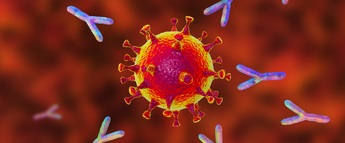 Developing Our Body's Immunity Against COVID-19