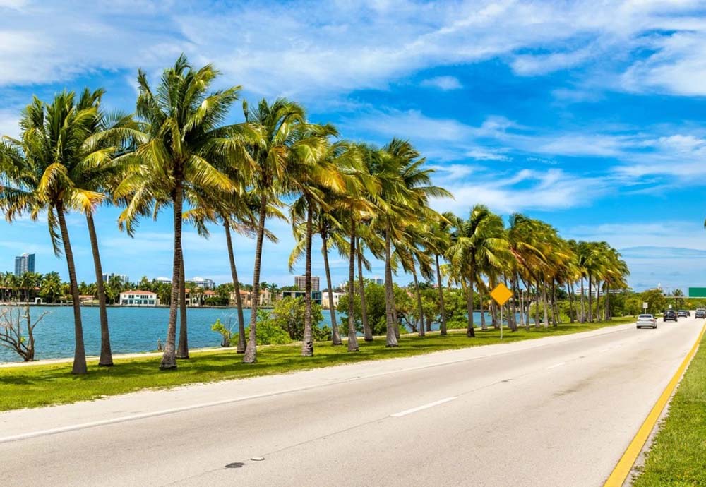 Best Medicare Supplement Plans in Florida?